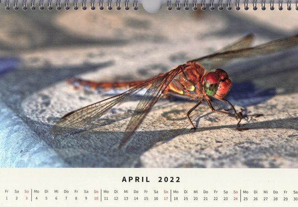 Fotokalender - Natur 2022