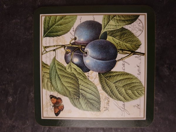 Korkuntersetzer - 6 Fruits Botanical Collection