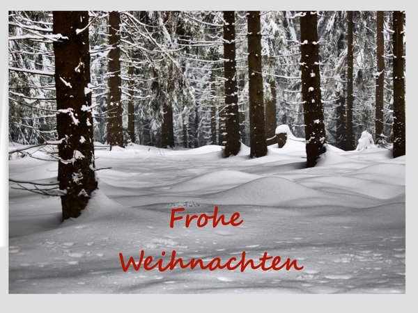 Weihnachtskarte Winterwald 2
