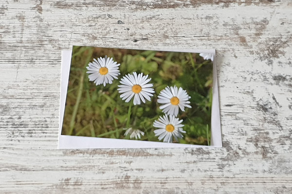 5er Postkartenset Blütenzauber 1