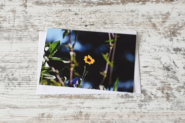 5er Postkartenset Blütenzauber 2