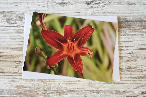 5er Postkartenset Blütenzauber 3